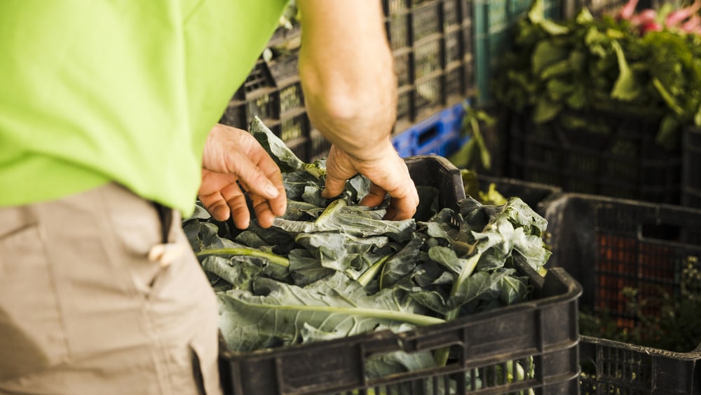 Green Waste Recycling