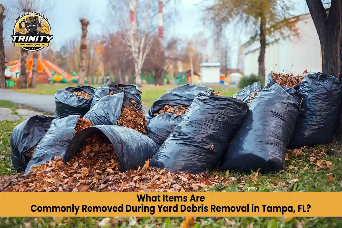 What Items are Commonly Removed During Yard Debris Removal in Tampa, FL?